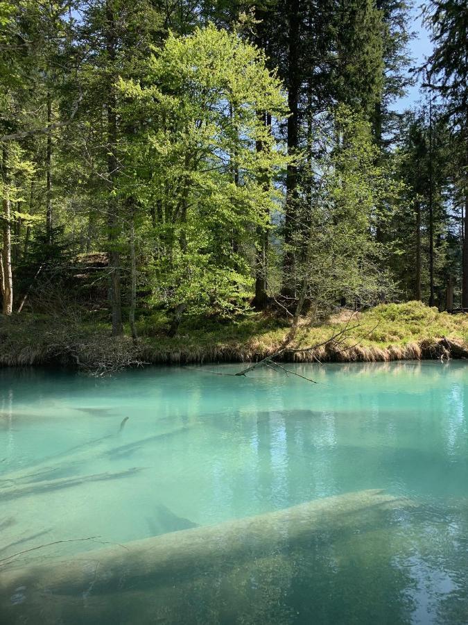 Hotel Pinzolo-Dolomiti Esterno foto